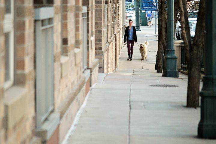 Dog Walker NYC