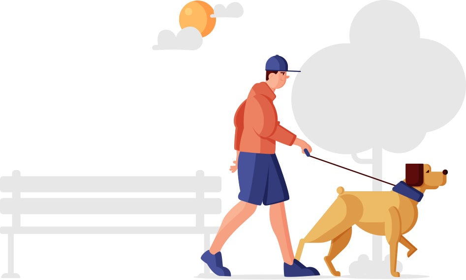 dog   walkers