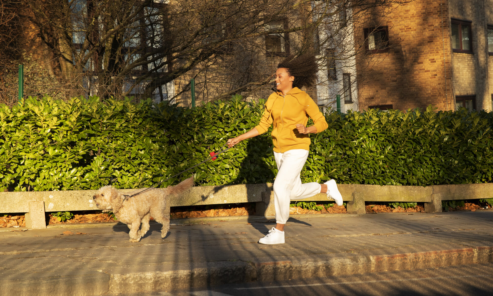 professional dog runner