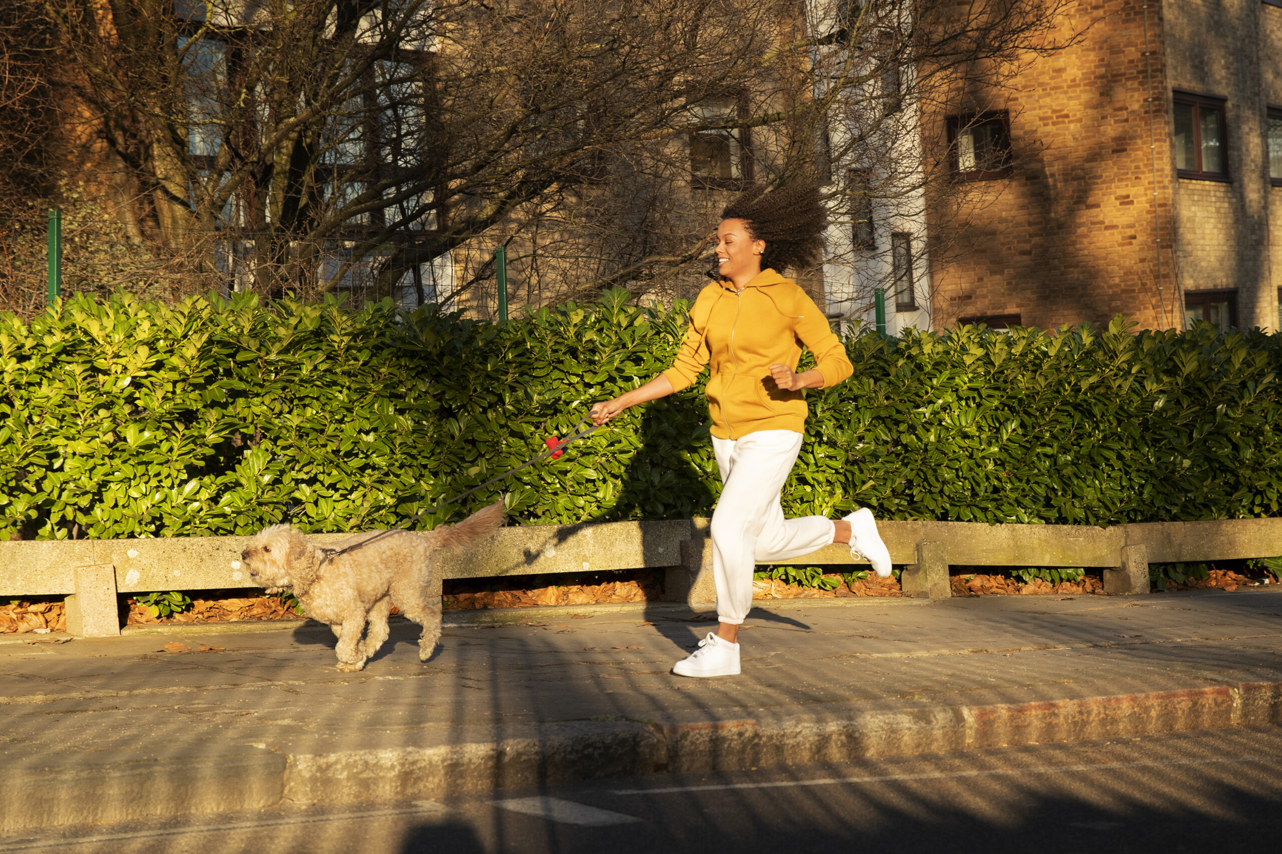 professional dog runner