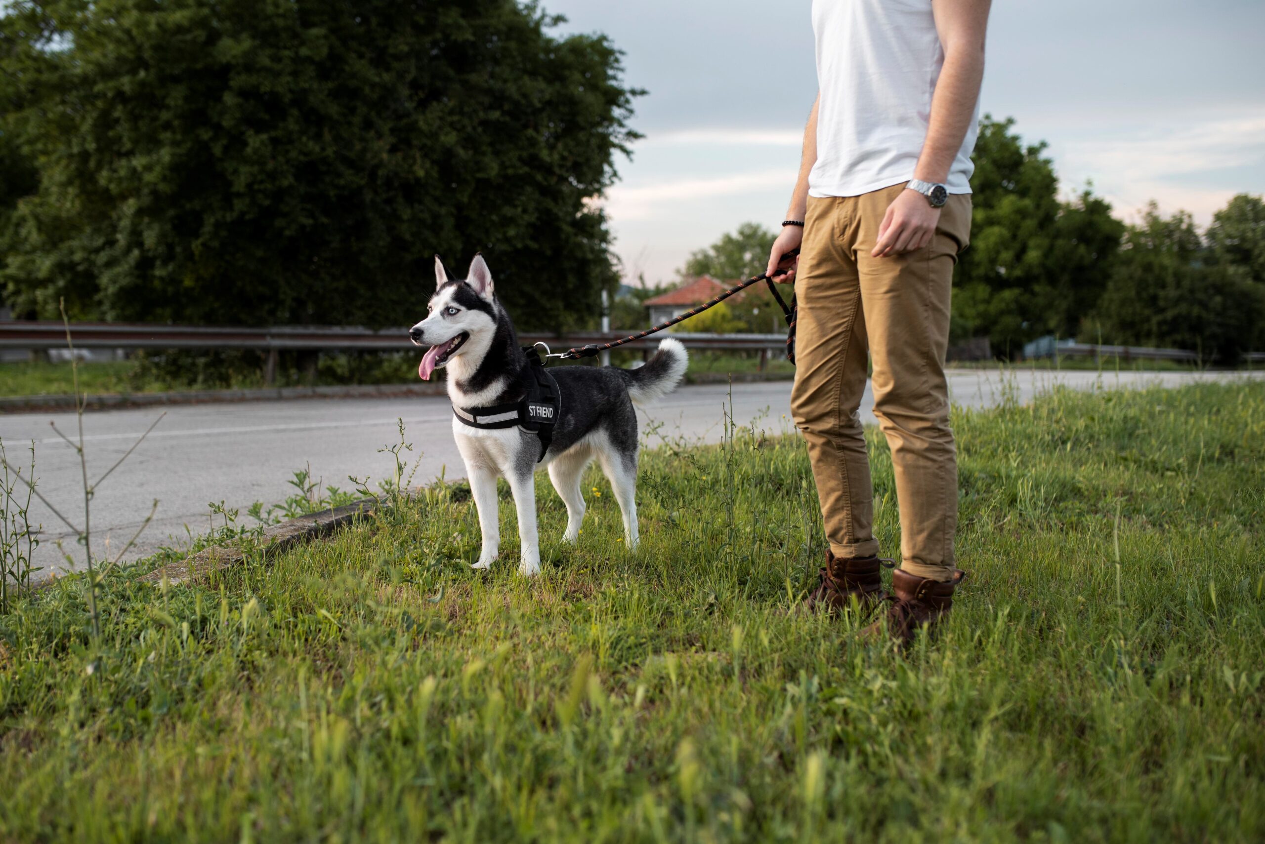 Happy Pants | Keep Your Dog Happy and Active with NYC’s Best Dog Walkers