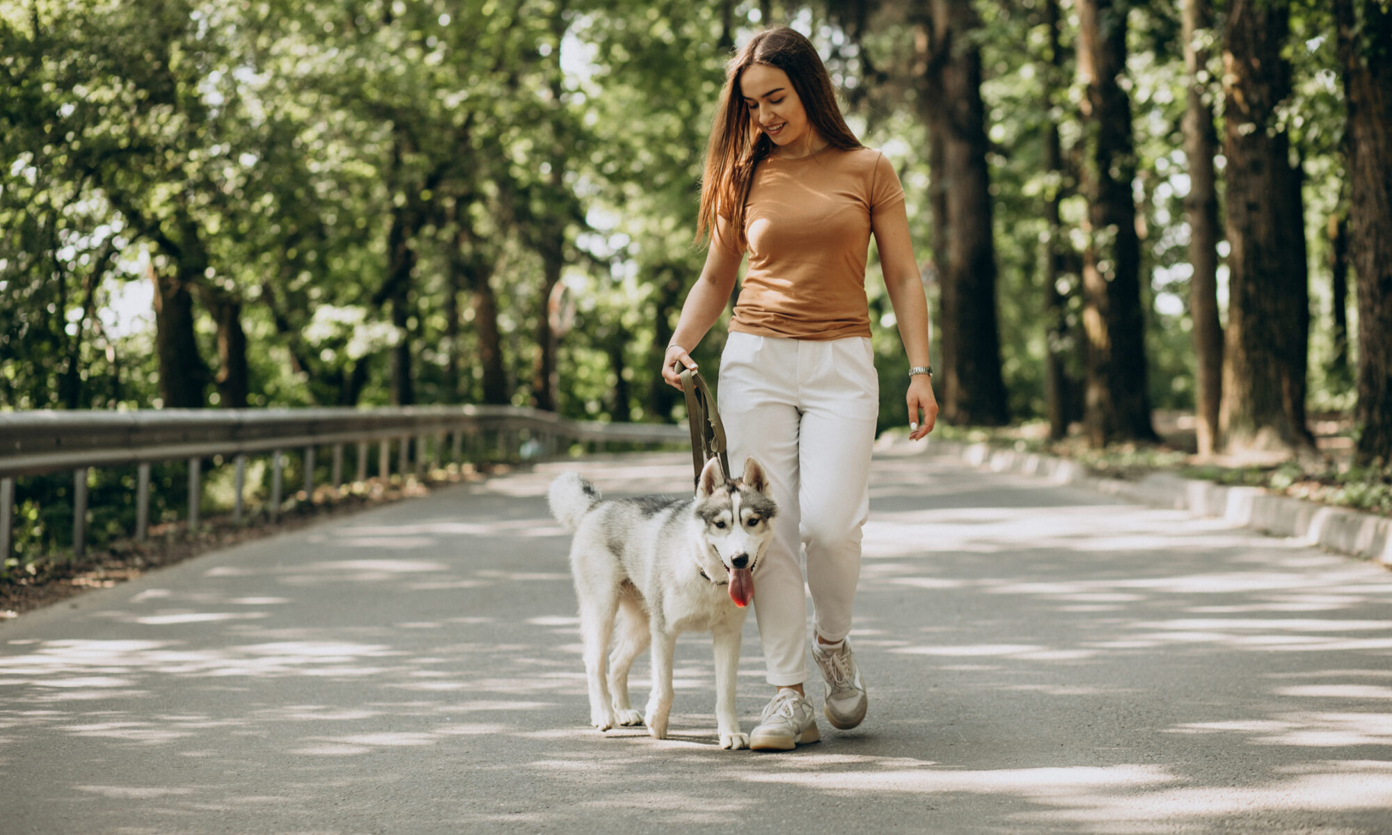 Dog walking