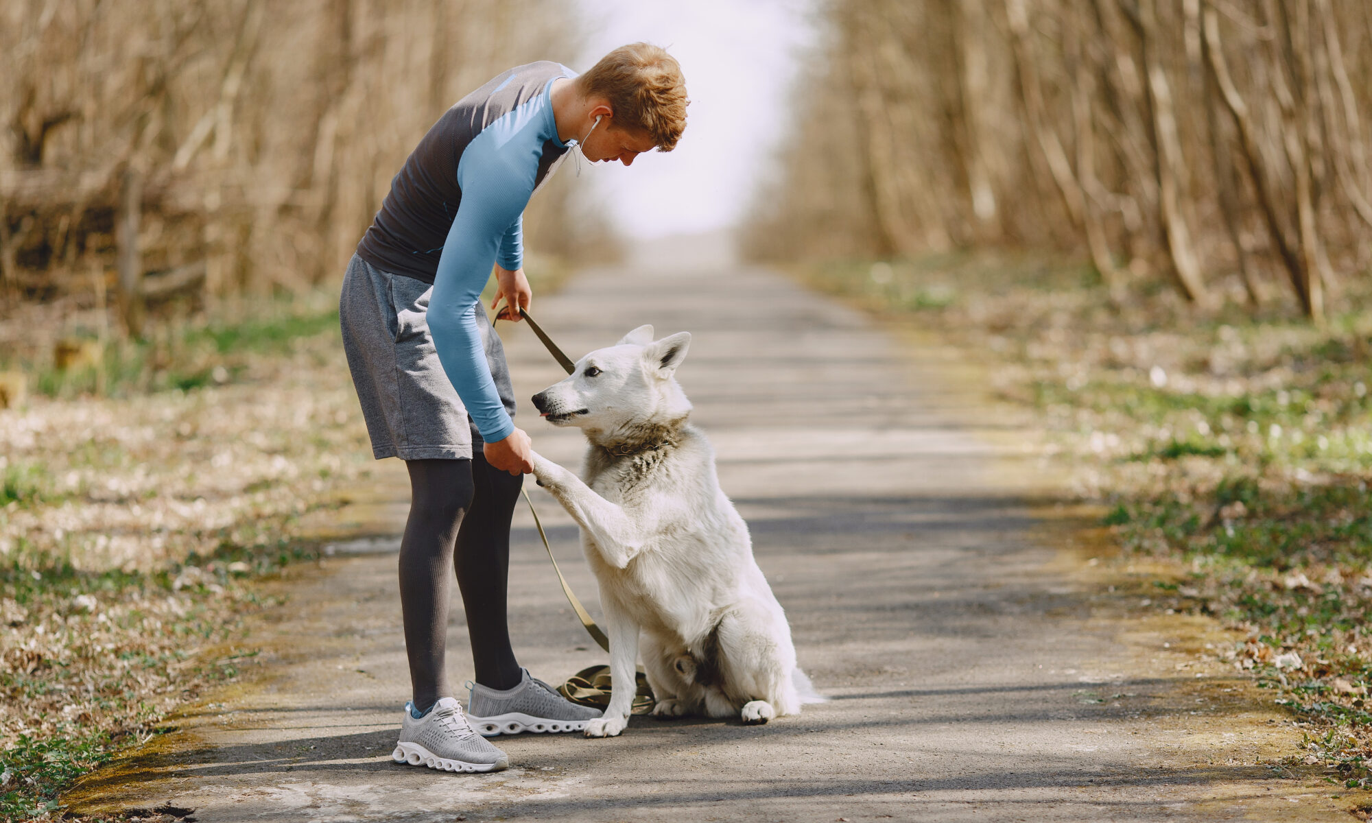Dog Running