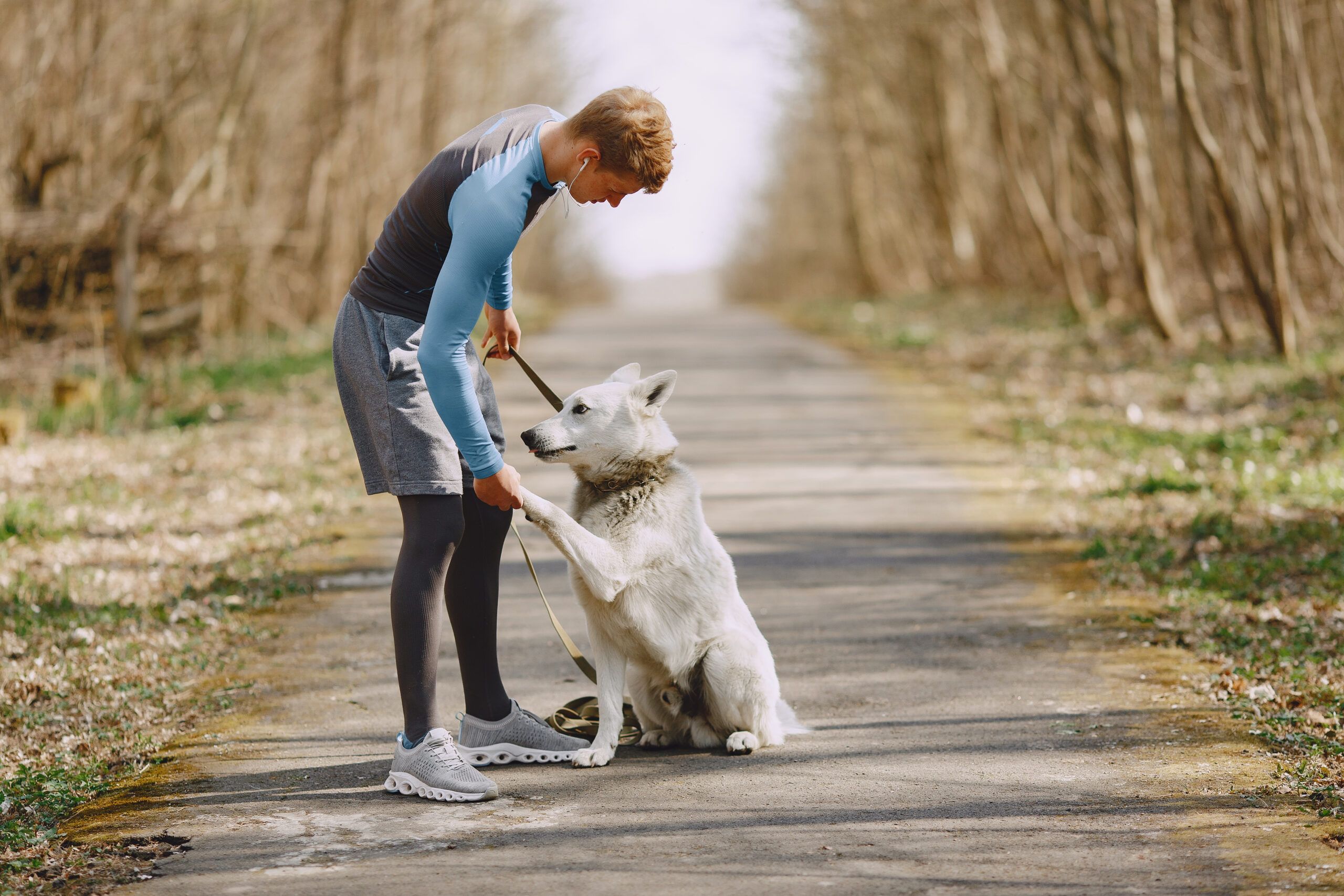 Dog Running