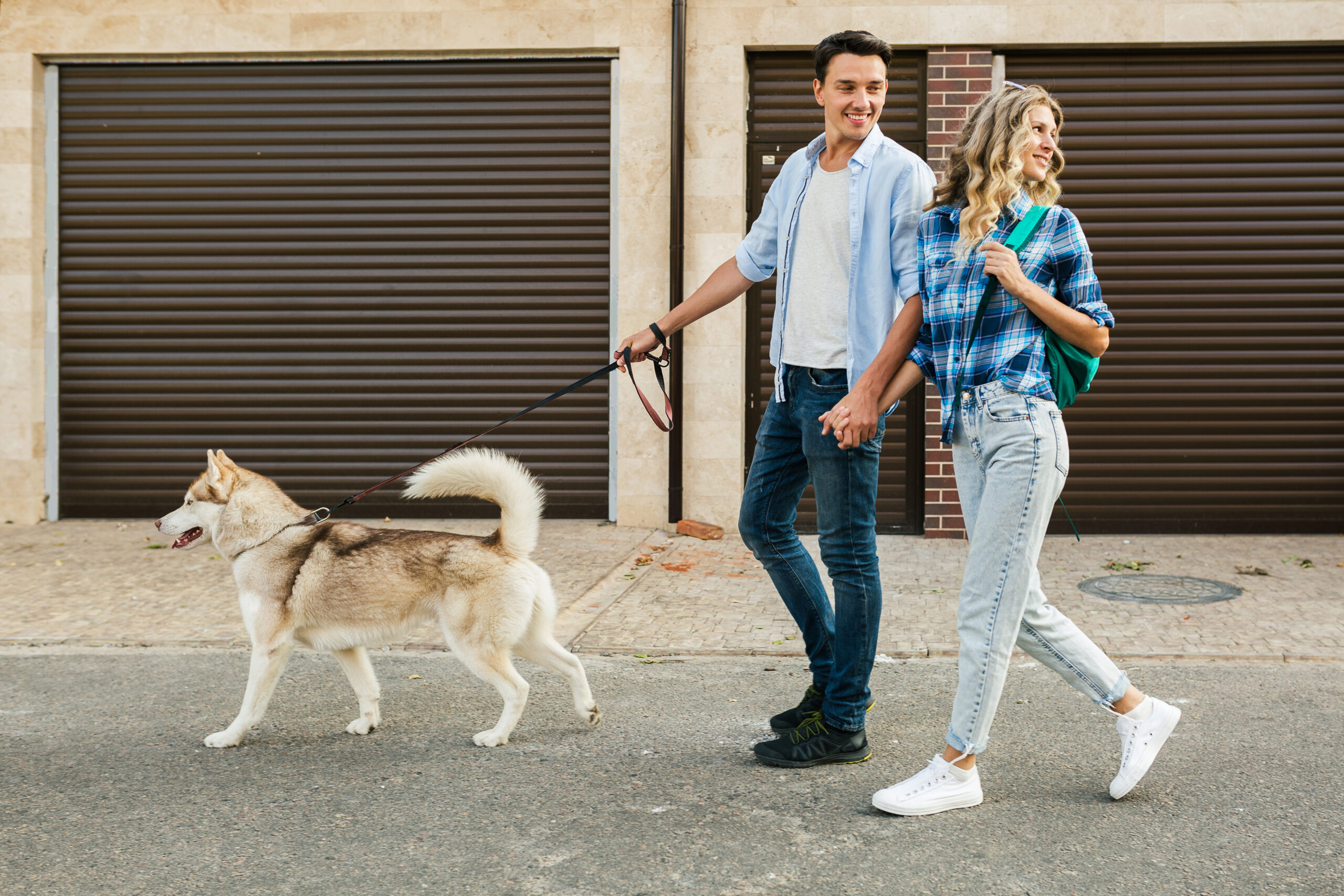 Happy Pants | How Often Should You Walk Your Dog Each Day Walk Your Dog