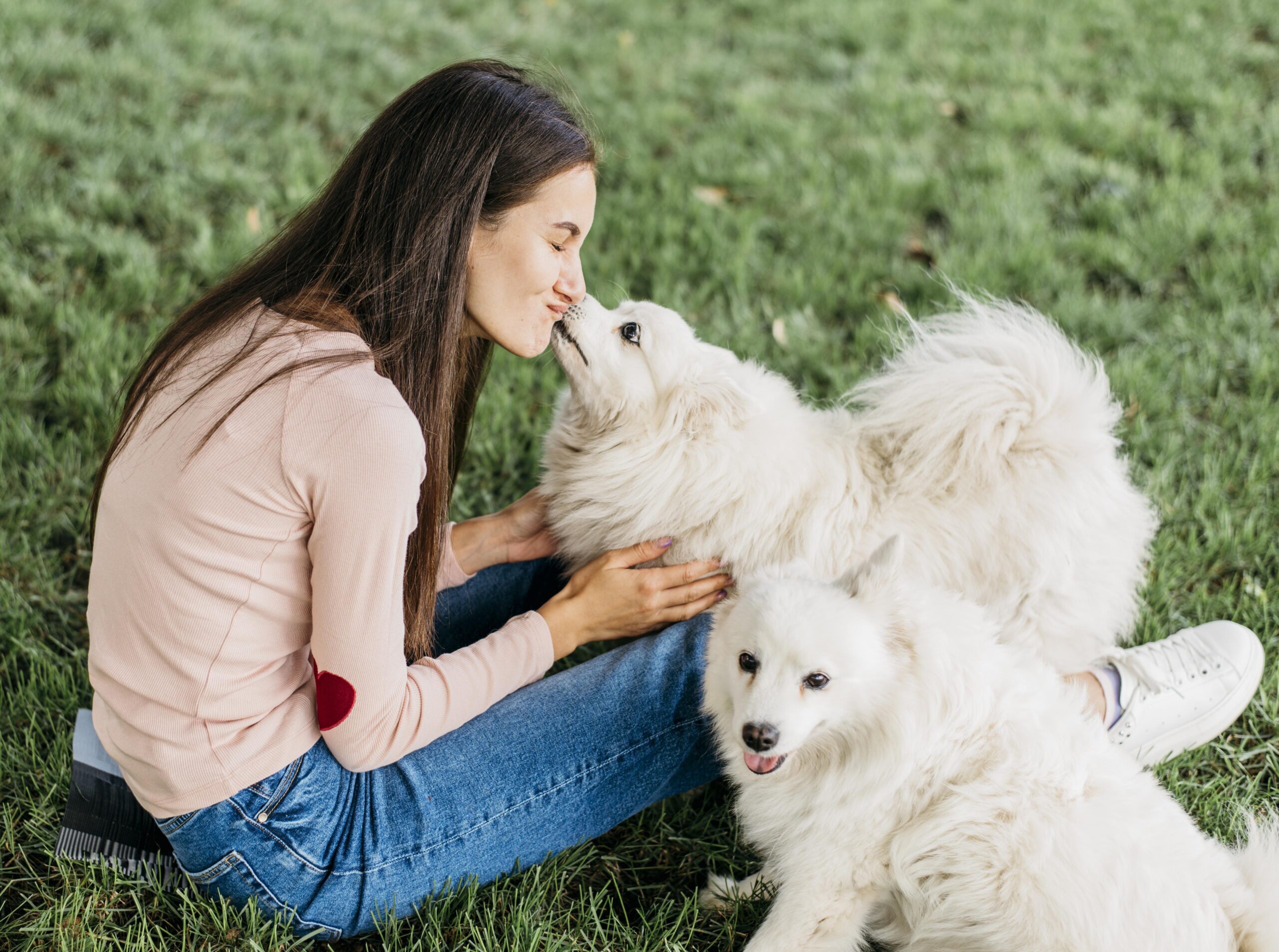 Happy Pants | When Can Puppies Start Walking Outside Puppies Start Walking Outside