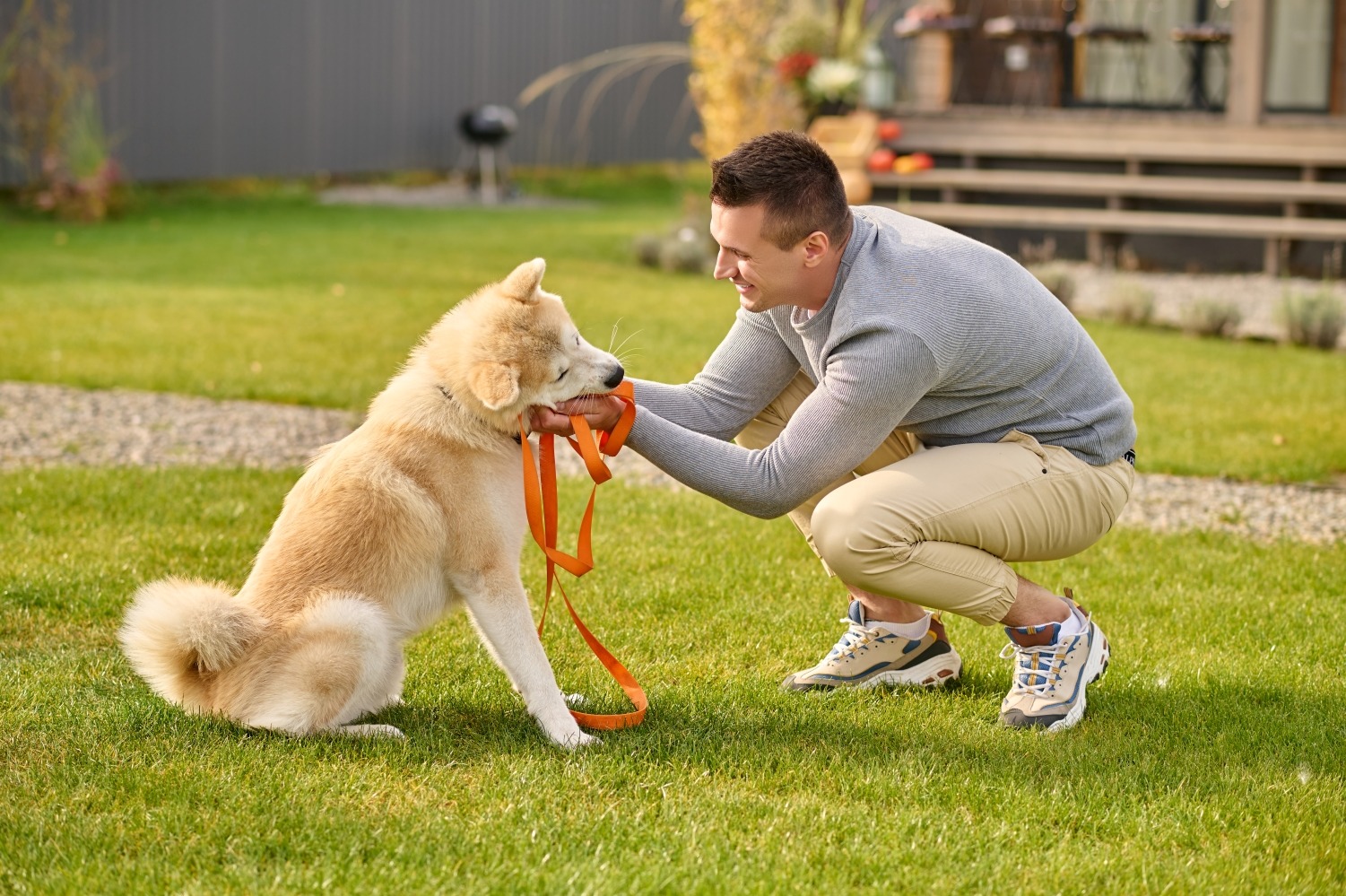 Dogs need consistent physical activity