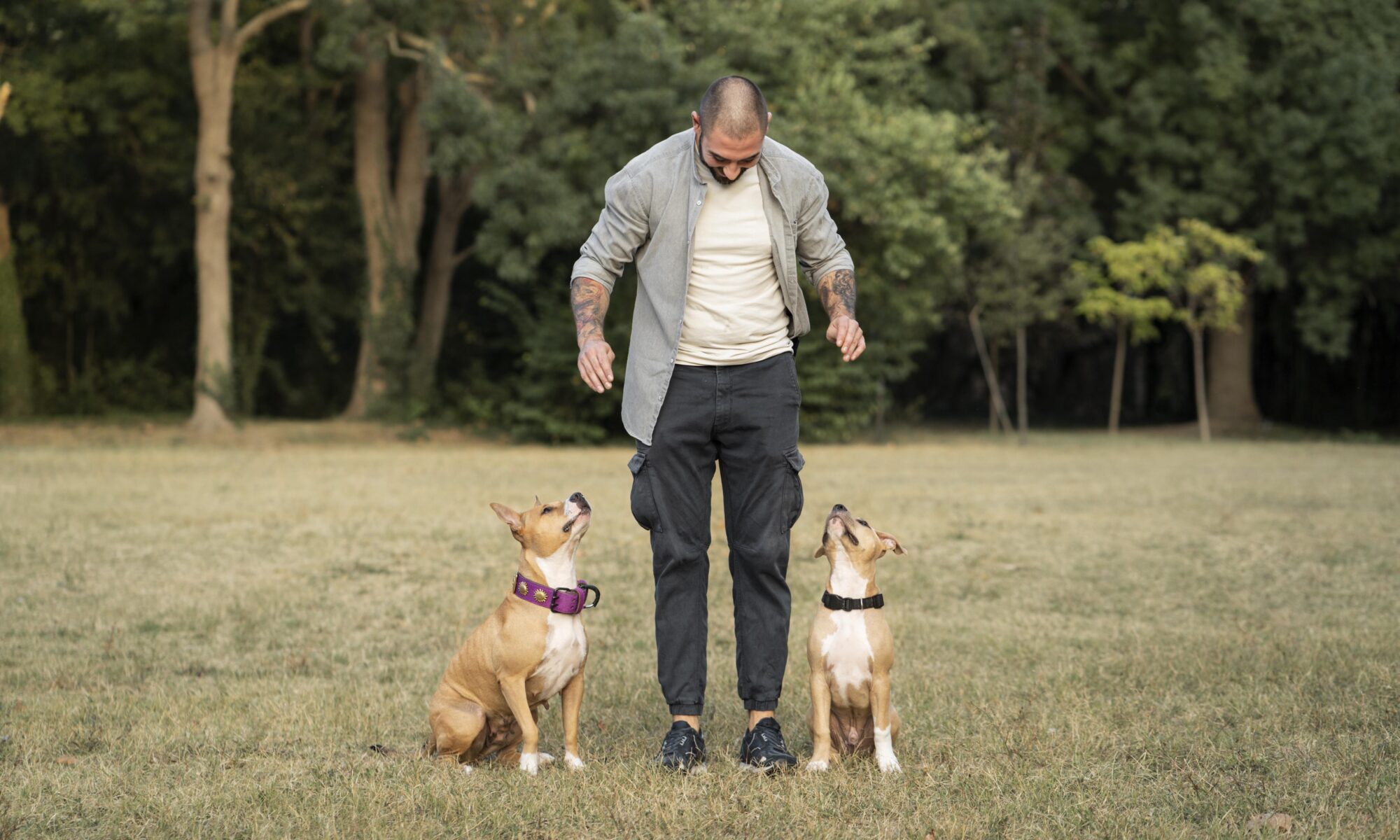 Dog Walking Tips